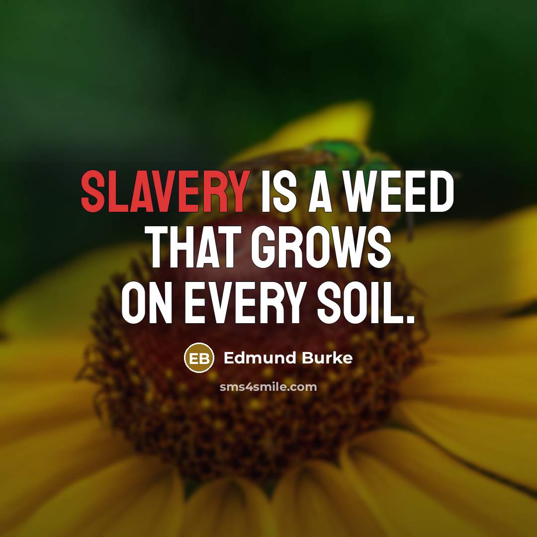 “Slavery is a weed that grows on every soil.” quote by Edmund Burke