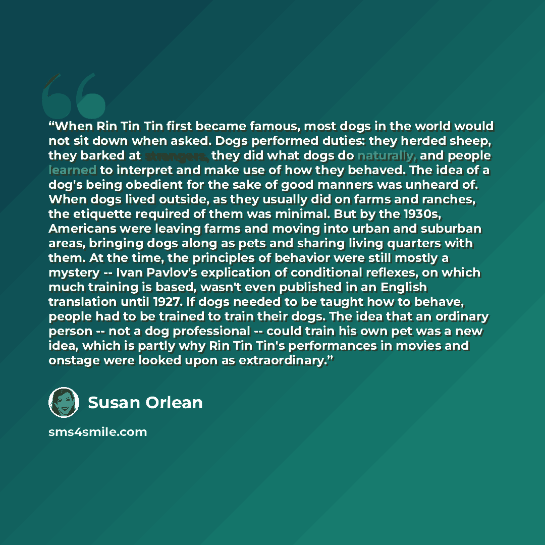 “When Rin Tin Tin first became famous, most dogs in the world would not sit down when asked. Dogs performed duties: they herded sheep, they barked at strangers, they did what dogs do naturally, and people learned to interpret and make use of how they behaved. The idea of a dog's being obedient for…” quote by Susan Orlean