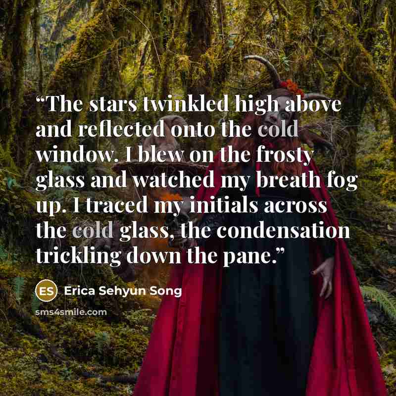“The stars twinkled high above and reflected onto the cold window. I blew on the frosty glass and watched my breath fog up. I traced my initials across the cold glass, the condensation trickling down the pane.” quote by Erica Sehyun Song