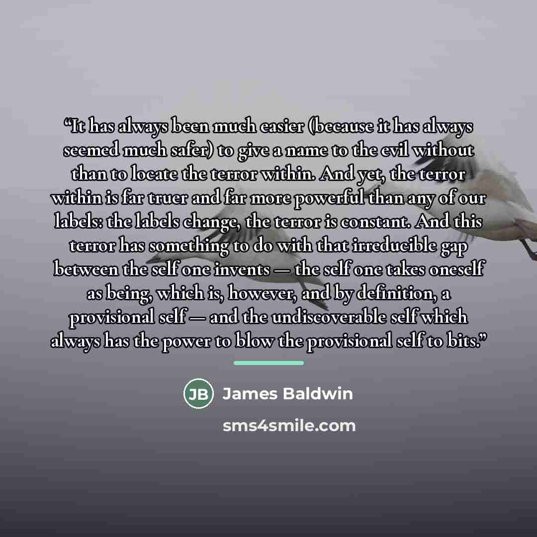 “It has always been much easier (because it has always seemed much safer) to give a name to the evil without than to locate the terror within. And yet, the terror within is far truer and far more powerful than any of our labels: the labels change, the terror is constant. And this terror has…” quote by James Baldwin