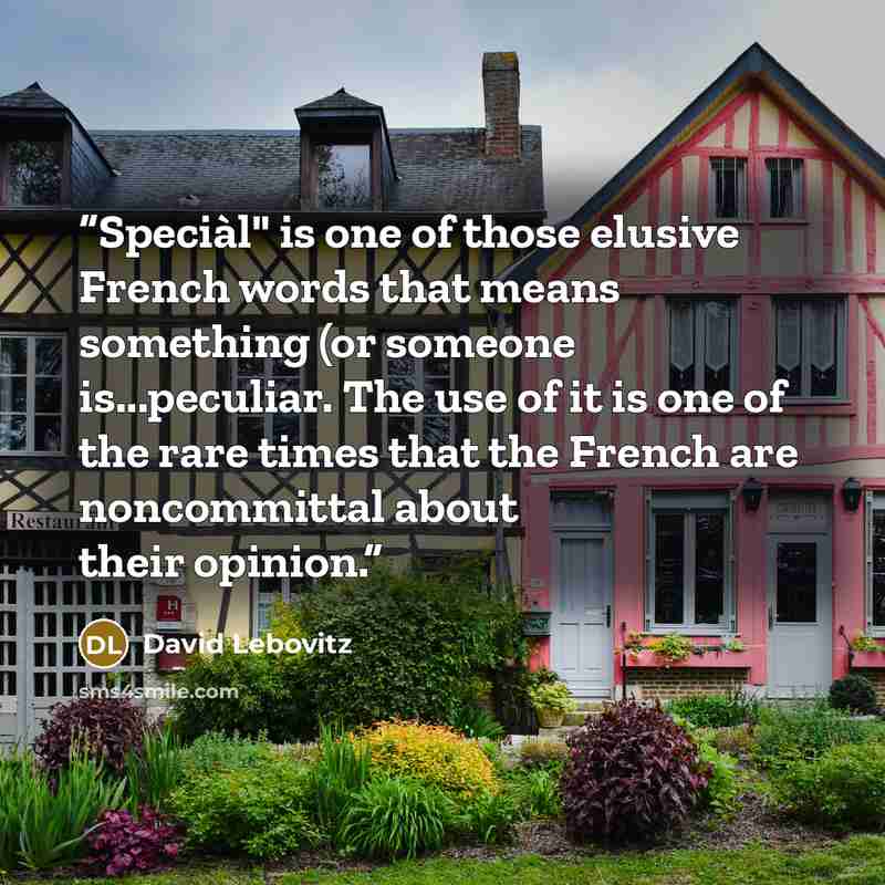 “Speciàl" is one of those elusive French words that means something (or someone is...peculiar. The use of it is one of the rare times that the French are noncommittal about their opinion.” quote by David Lebovitz
