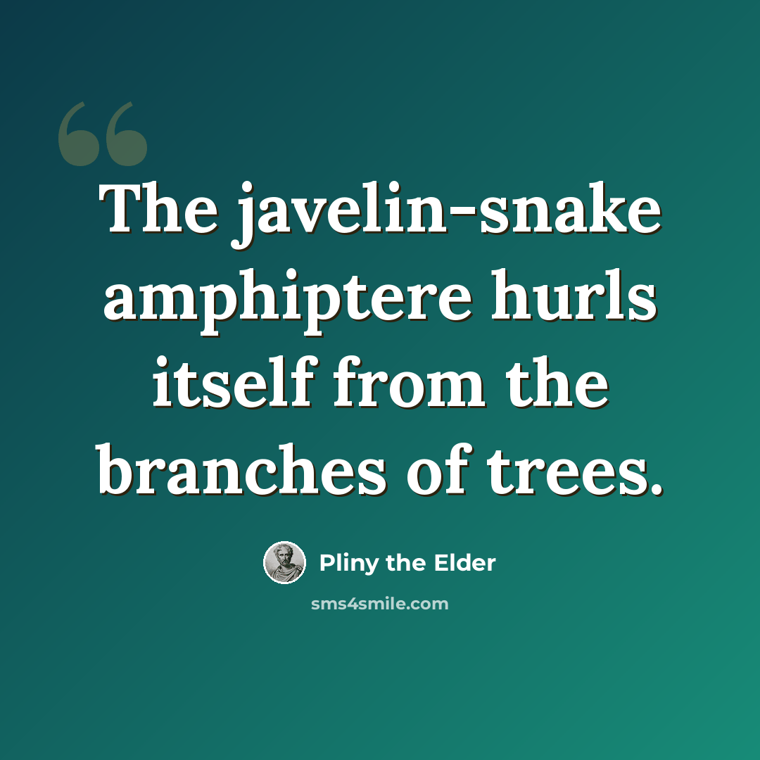 “The javelin-snake amphiptere hurls itself from the branches of trees.” quote by Pliny the Elder
