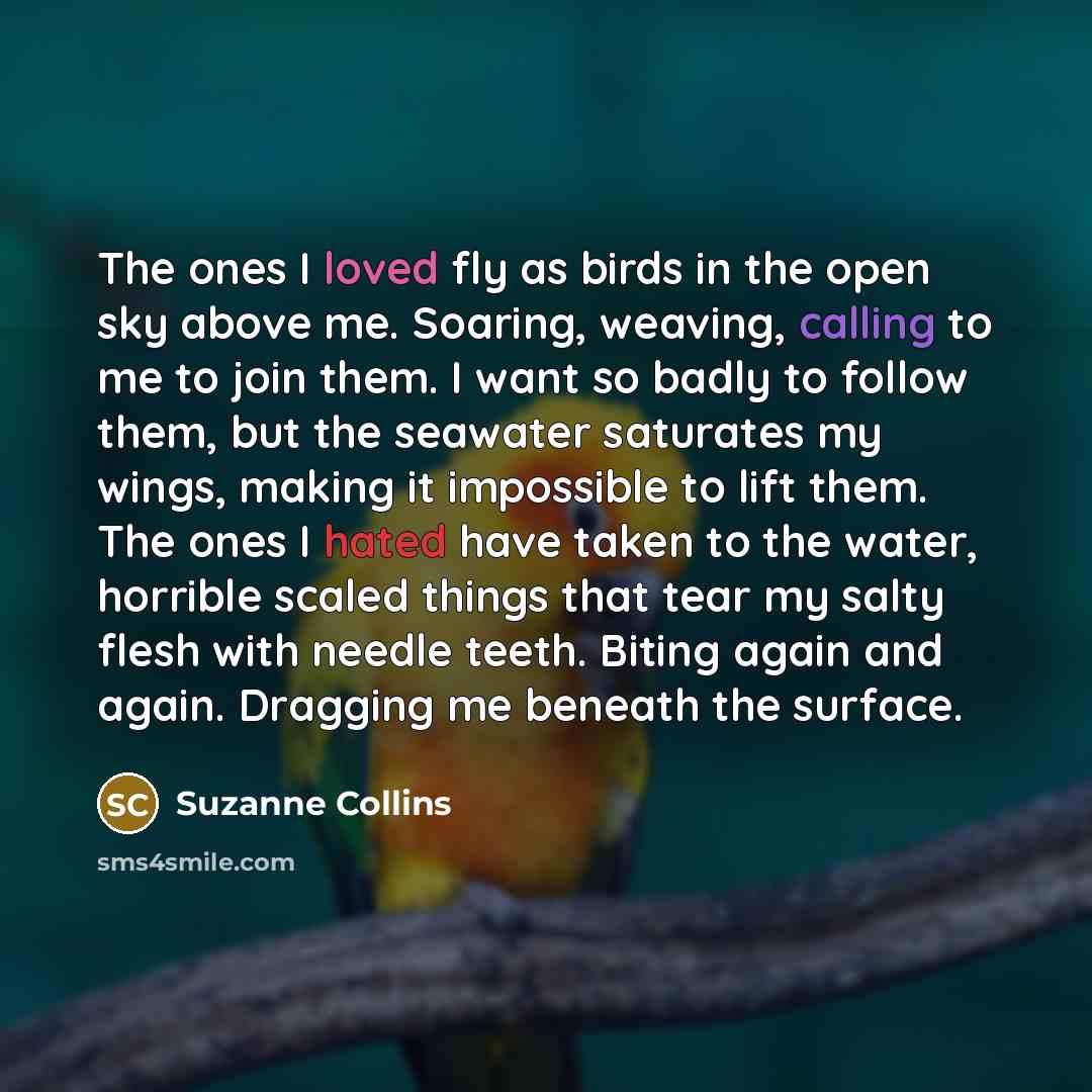 “The ones I loved fly as birds in the open sky above me. Soaring, weaving, calling to me to join them. I want so badly to follow them, but the seawater saturates my wings, making it impossible to lift them. The ones I hated have taken to the water, horrible scaled things that tear my salty flesh…” quote by Suzanne Collins