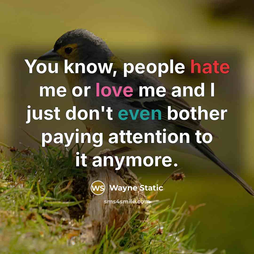 “You know, people hate me or love me and I just don't even bother paying attention to it anymore.” quote by Wayne Static