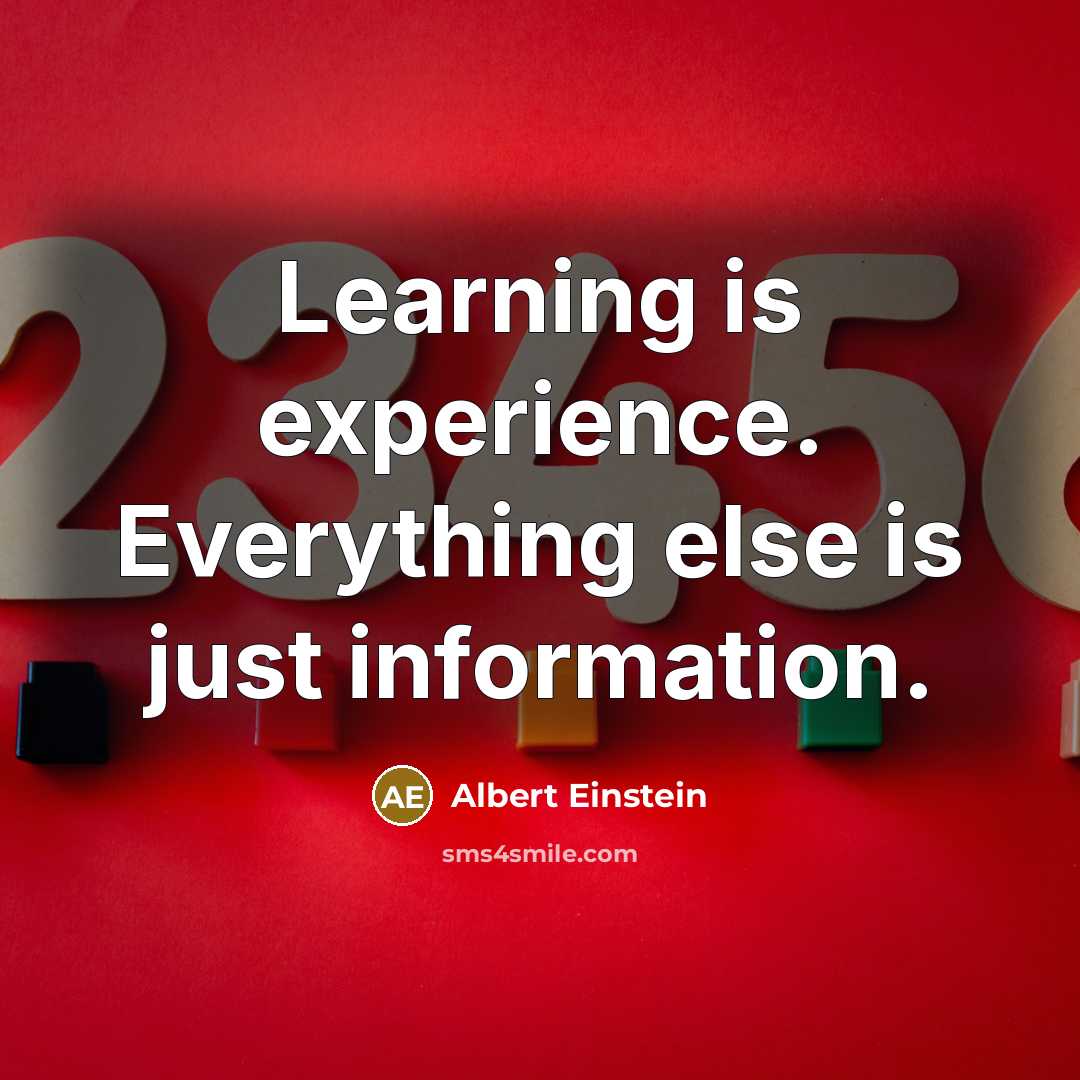 “Learning is experience. Everything else is just information.” quote by Albert Einstein