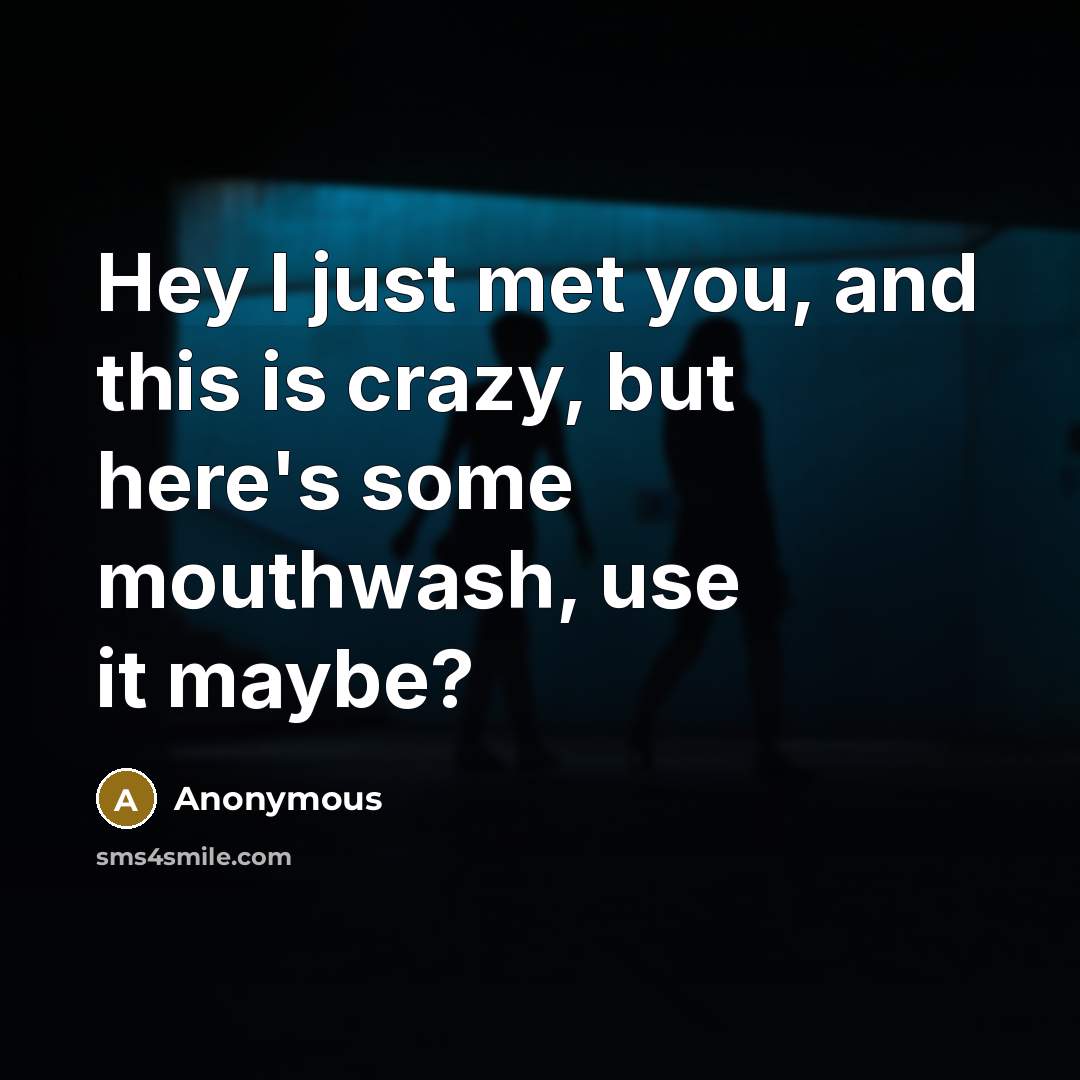 “Hey I just met you, and this is crazy, but here's some mouthwash, use it maybe?” quote by Anonymous