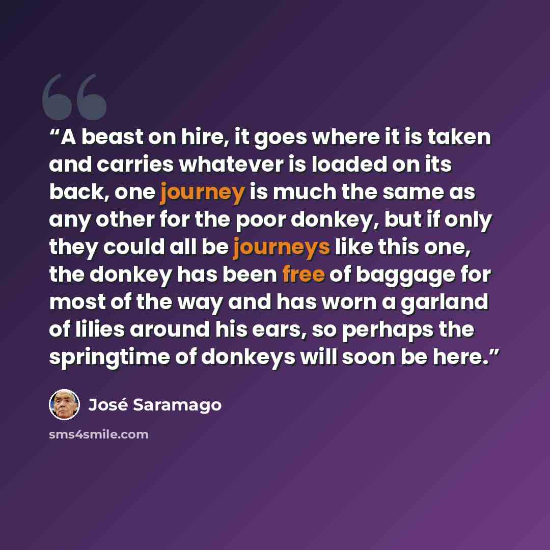 “A beast on hire, it goes where it is taken and carries whatever is loaded on its back, one journey is much the same as any other for the poor donkey, but if only they could all be journeys like this one, the donkey has been free of baggage for most of the way and has worn a garland of lilies…” quote by José Saramago