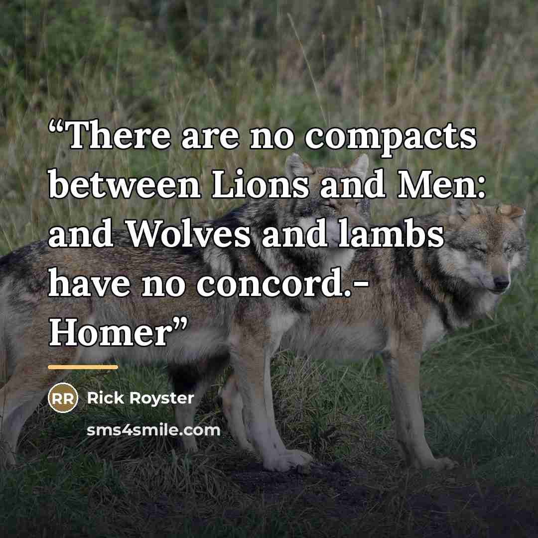 “There are no compacts between Lions and Men: and Wolves and lambs have no concord.- Homer” quote by Rick Royster