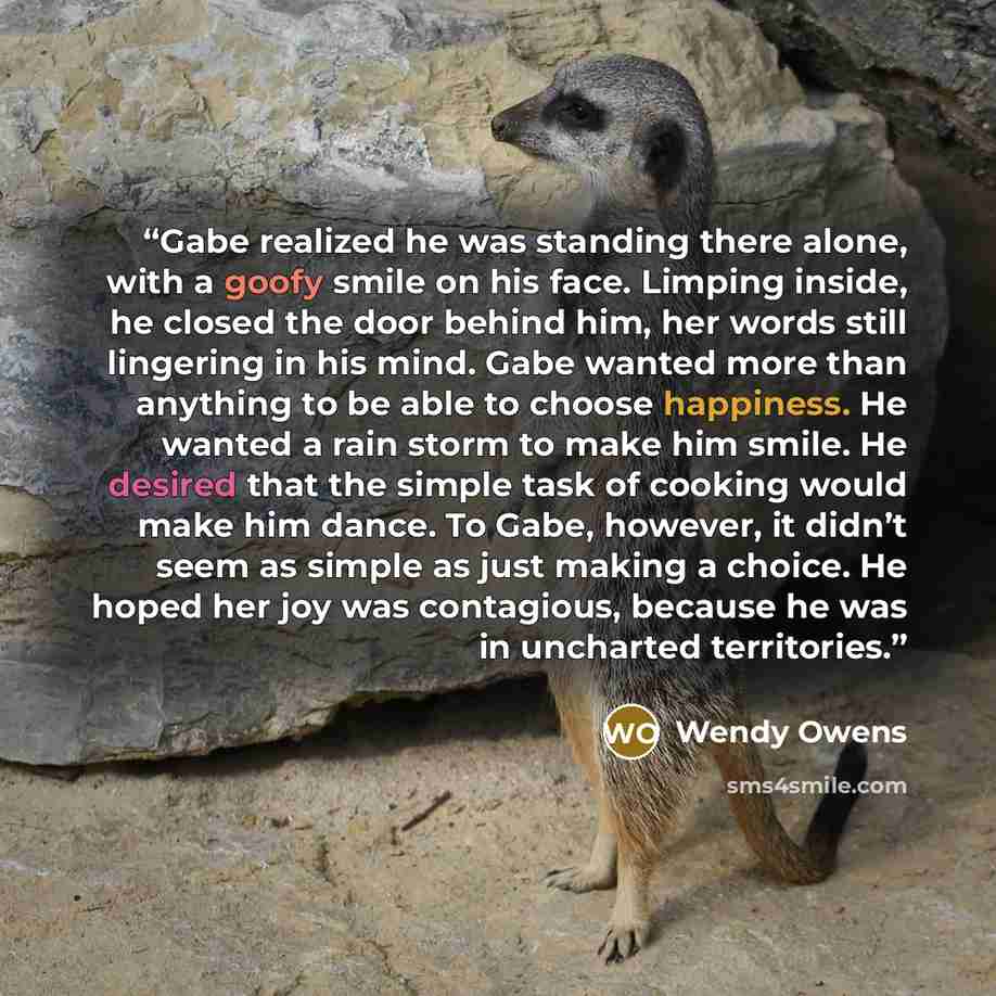 “Gabe realized he was standing there alone, with a goofy smile on his face. Limping inside, he closed the door behind him, her words still lingering in his mind. Gabe wanted more than anything to be able to choose happiness. He wanted a rain storm to make him smile. He desired that the simple task…” quote by Wendy Owens