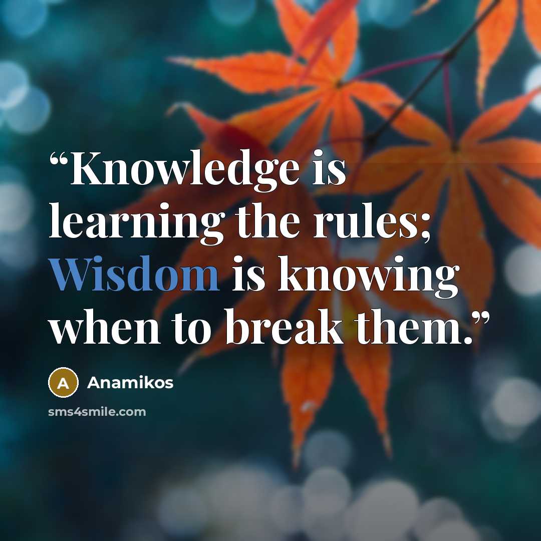 “Knowledge is learning the rules; Wisdom is knowing when to break them.” quote by Anamikos