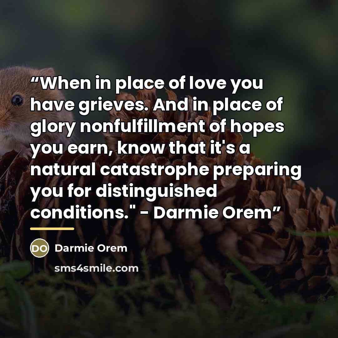 “When in place of love you have grieves. And in place of glory nonfulfillment of hopes you earn, know that it's a natural catastrophe preparing you for distinguished conditions." - Darmie Orem” quote by Darmie Orem
