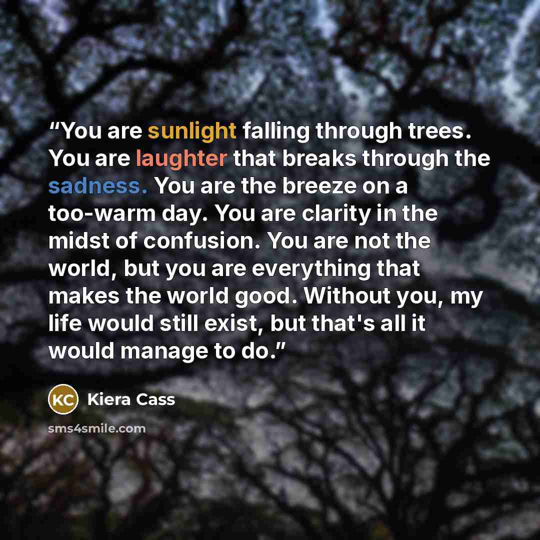 “You are sunlight falling through trees. You are laughter that breaks through the sadness. You are the breeze on a too-warm day. You are clarity in the midst of confusion. You are not the world, but you are everything that makes the world good. Without you, my life would still exist, but that's all…” quote by Kiera Cass