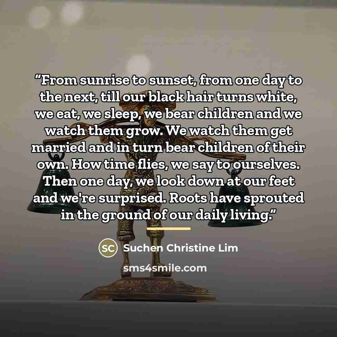 “From sunrise to sunset, from one day to the next, till our black hair turns white, we eat, we sleep, we bear children and we watch them grow. We watch them get married and in turn bear children of their own. How time flies, we say to ourselves. Then one day, we look down at our feet and we're…” quote by Suchen Christine Lim