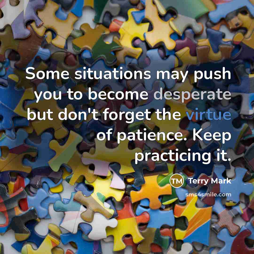“Some situations may push you to become desperate but don't forget the virtue of patience. Keep practicing it.” quote by Terry Mark