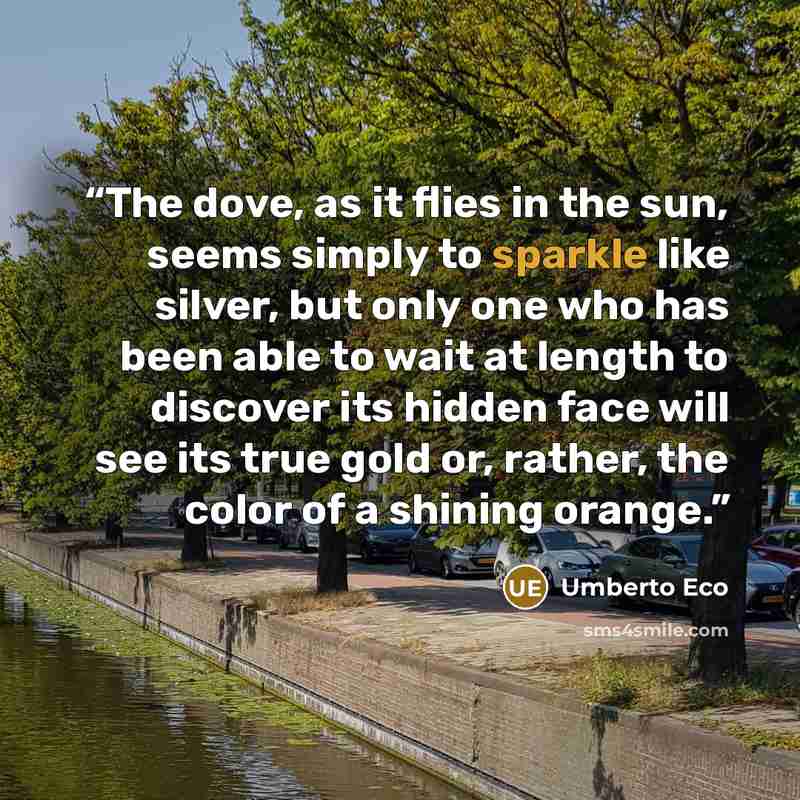 “The dove, as it flies in the sun, seems simply to sparkle like silver, but only one who has been able to wait at length to discover its hidden face will see its true gold or, rather, the color of a shining orange.” quote by Umberto Eco