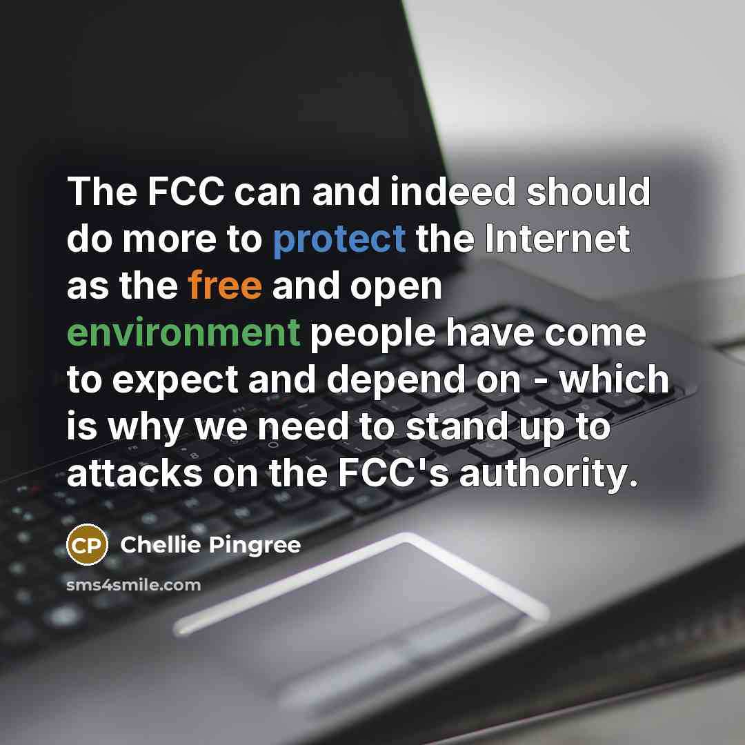 “The FCC can and indeed should do more to protect the Internet as the free and open environment people have come to expect and depend on - which is why we need to stand up to attacks on the FCC's authority.” quote by Chellie Pingree