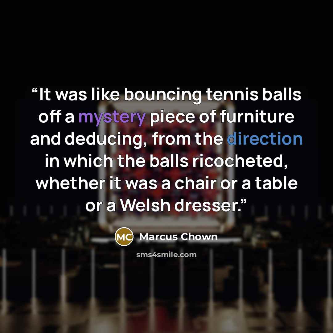 “It was like bouncing tennis balls off a mystery piece of furniture and deducing, from the direction in which the balls ricocheted, whether it was a chair or a table or a Welsh dresser.” quote by Marcus Chown