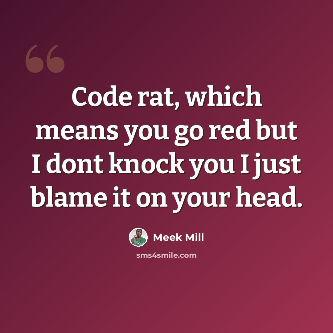 “Code rat, which means you go red but I dont knock you I just blame it on your head.” quote by Meek Mill