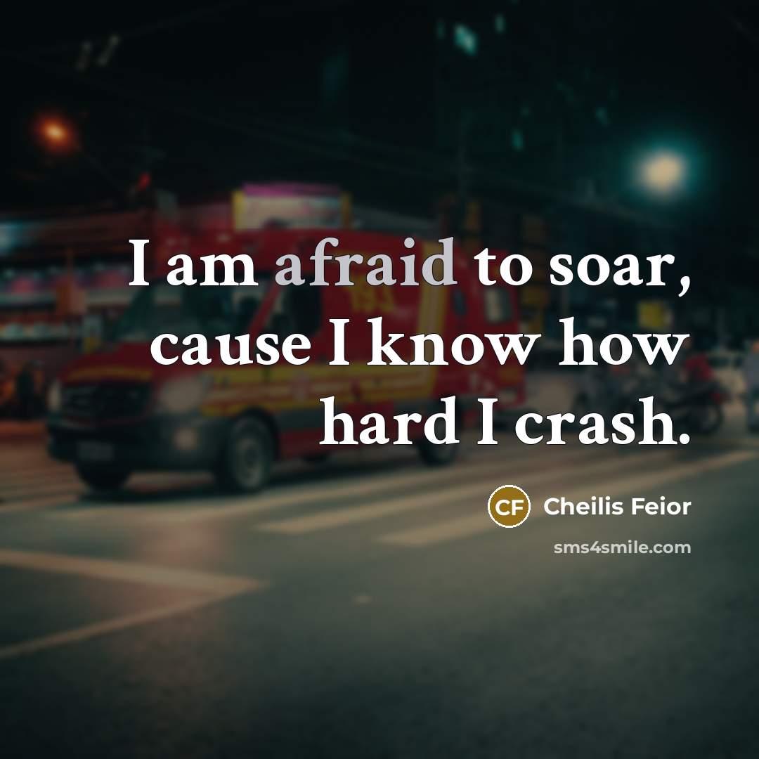 “I am afraid to soar, cause I know how hard I crash.” quote by Cheilis Feior