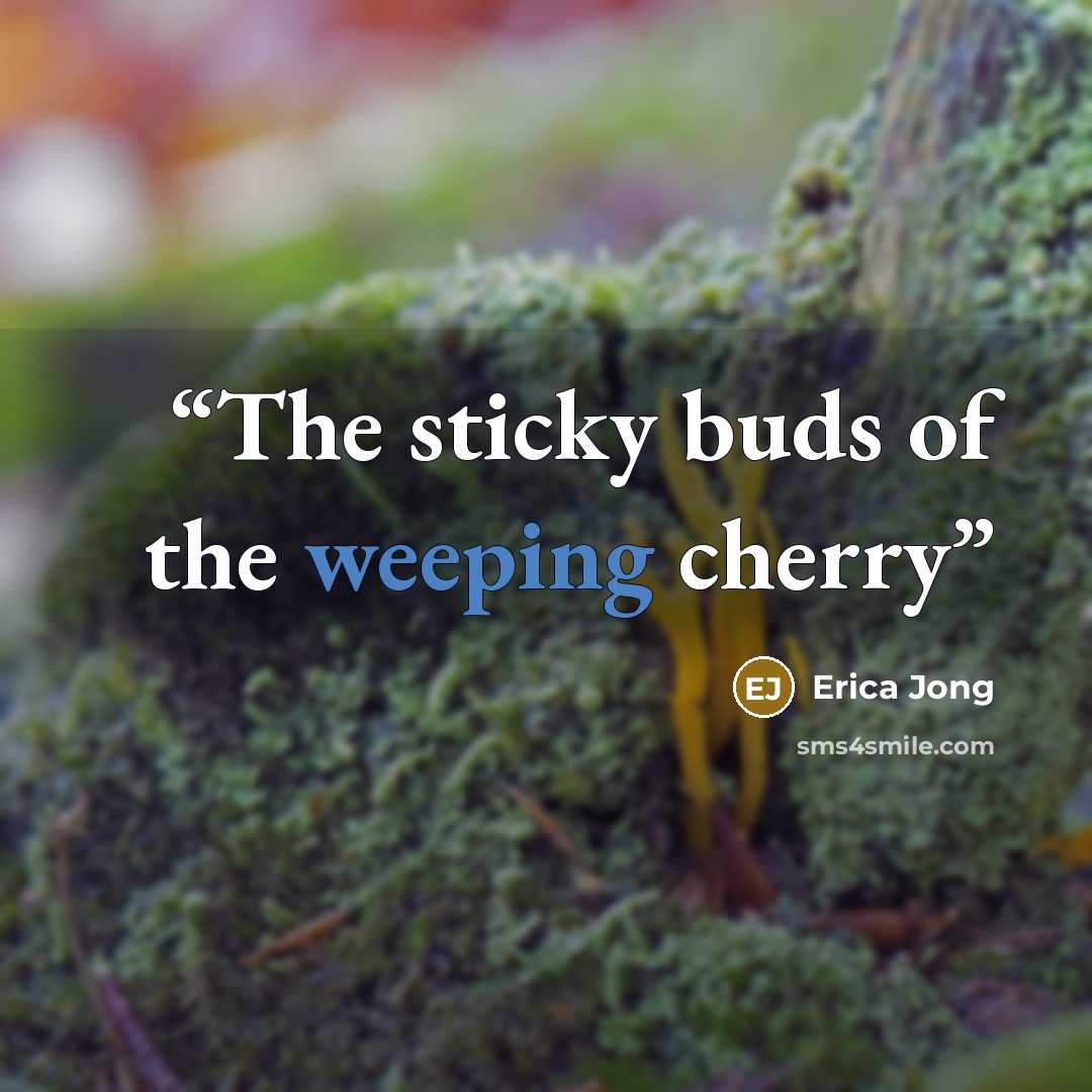 “The sticky buds of the weeping cherry” quote by Erica Jong