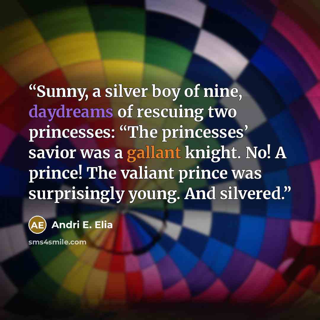 “Sunny, a silver boy of nine, daydreams of rescuing two princesses: “The princesses’ savior was a gallant knight. No! A prince! The valiant prince was surprisingly young. And silvered.” quote by Andri E. Elia
