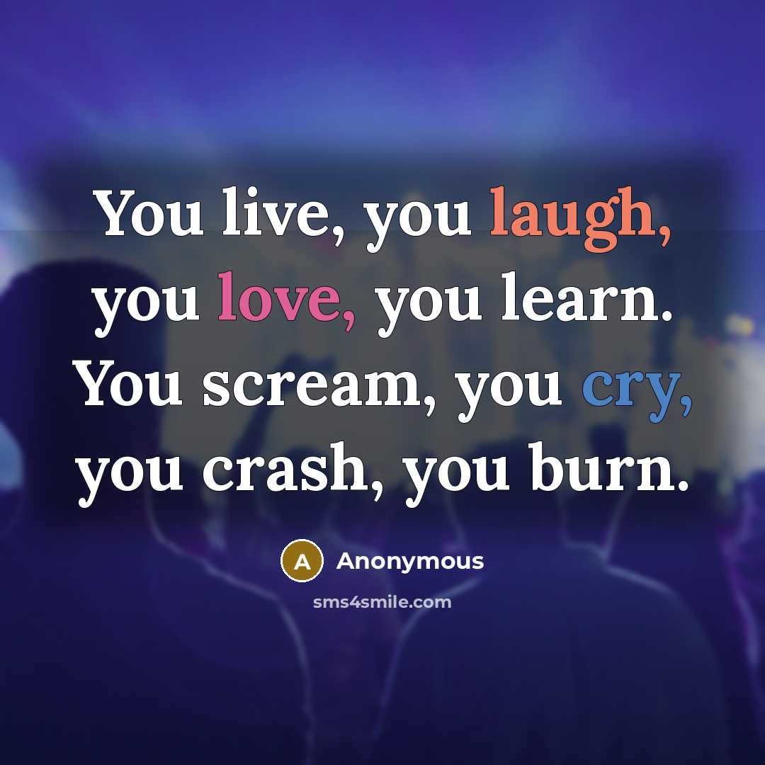 “You live, you laugh, you love, you learn. You scream, you cry, you crash, you burn.” quote by Anonymous