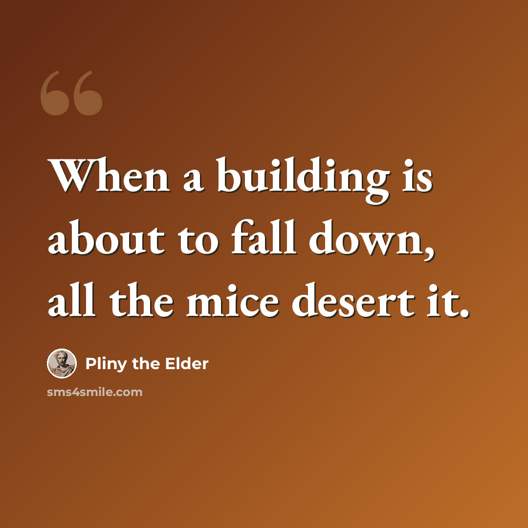 “When a building is about to fall down, all the mice desert it.” quote by Pliny the Elder