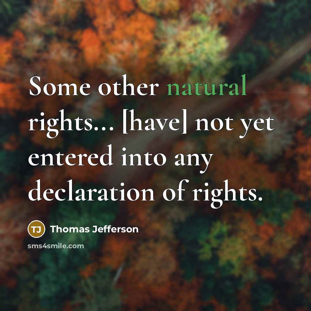“Some other natural rights... [have] not yet entered into any declaration of rights.” quote by Thomas Jefferson