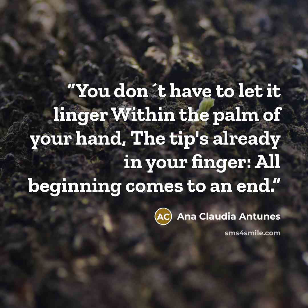 “You don´t have to let it linger Within the palm of your hand, The tip's already in your finger: All beginning comes to an end.” quote by Ana Claudia Antunes