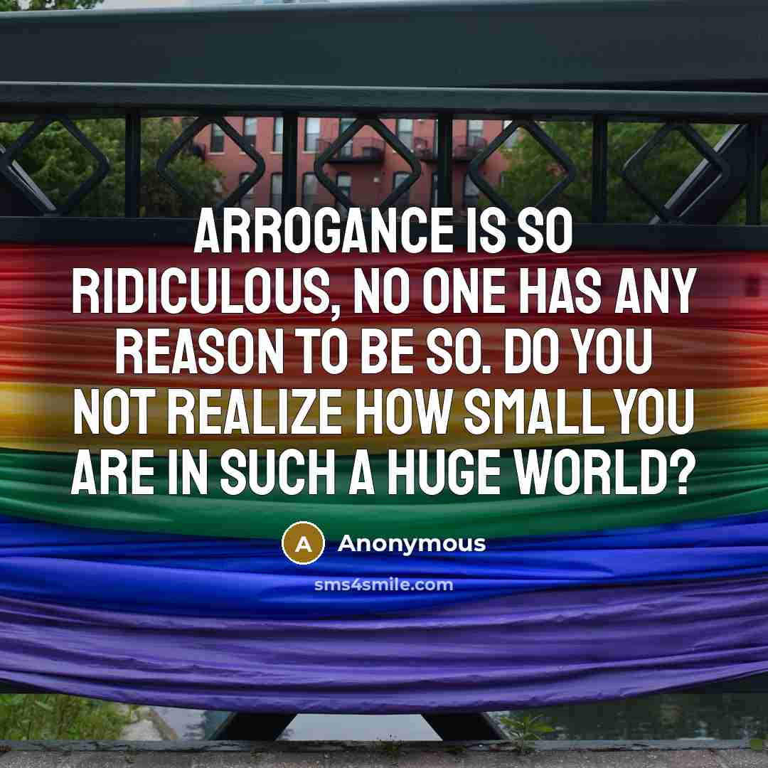 “Arrogance is so ridiculous, no one has any reason to be so. Do you not realize how small you are in such a huge world?” quote by Anonymous