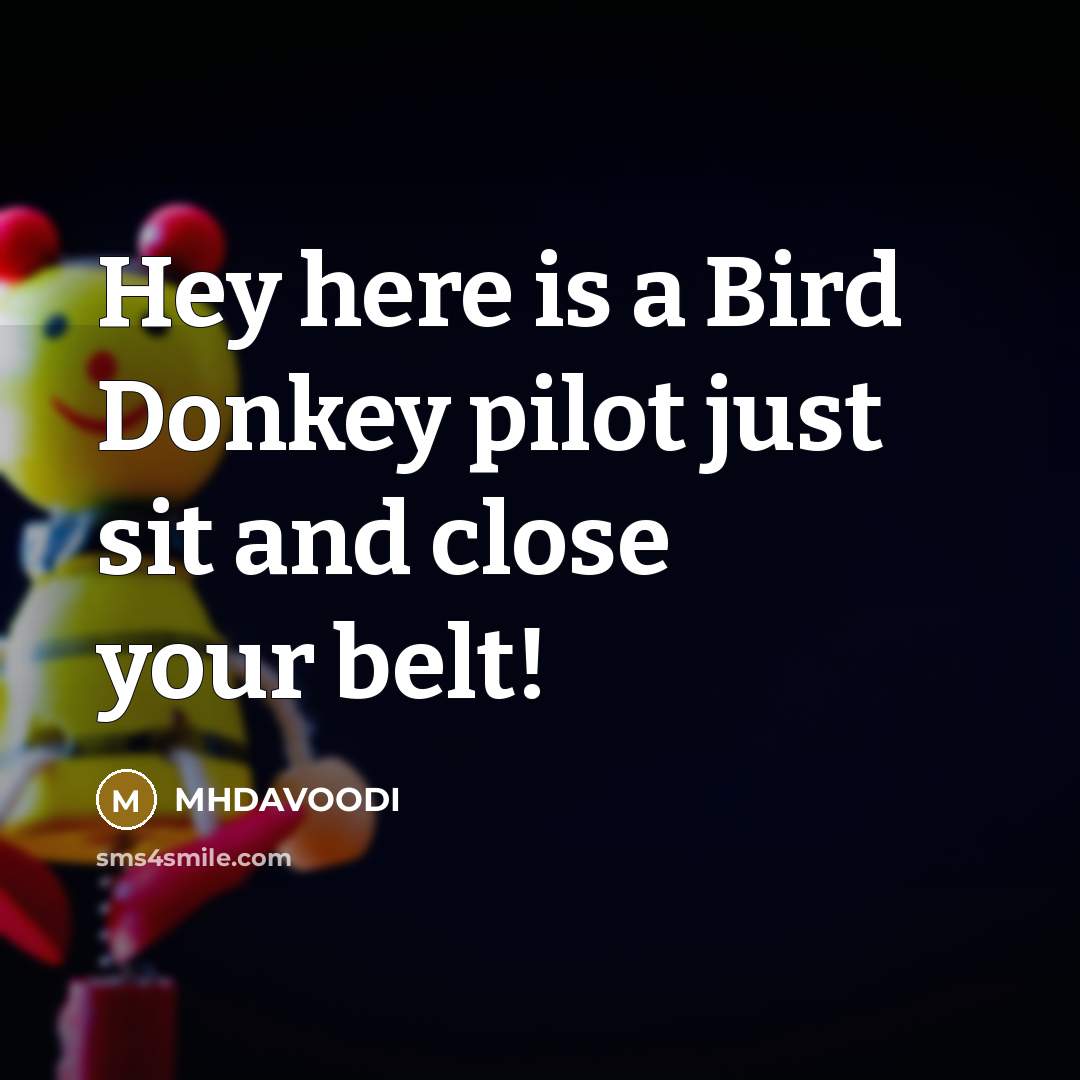 “Hey here is a Bird Donkey pilot just sit and close your belt!” quote by MHDAVOODI
