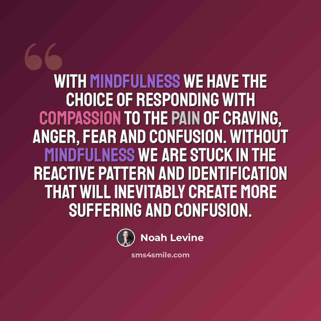 “With mindfulness we have the choice of responding with compassion to the pain of craving, anger, fear and confusion. Without mindfulness we are stuck in the reactive pattern and identification that will inevitably create more suffering and confusion.” quote by Noah Levine