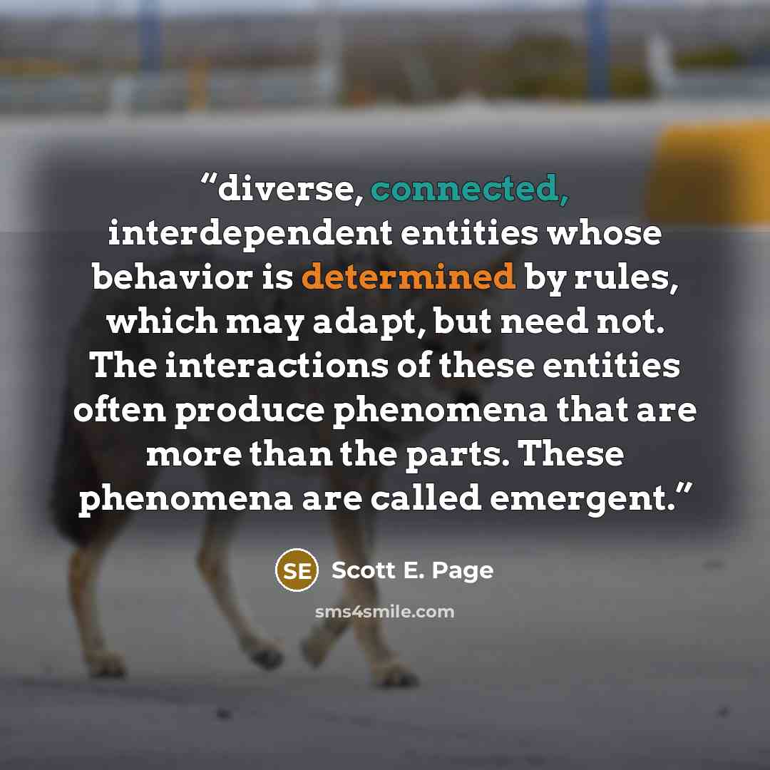 “diverse, connected, interdependent entities whose behavior is determined by rules, which may adapt, but need not. The interactions of these entities often produce phenomena that are more than the parts. These phenomena are called emergent.” quote by Scott E. Page