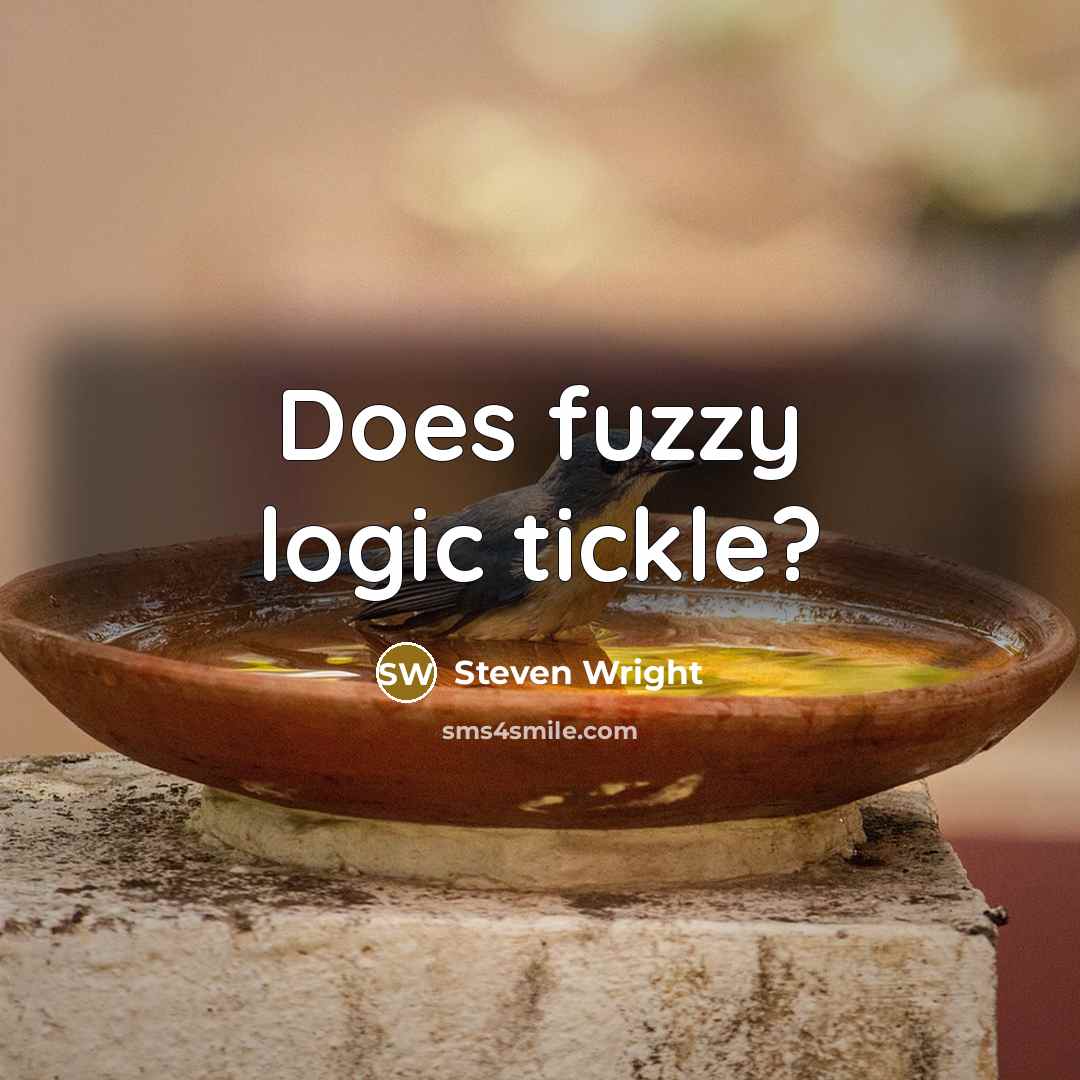 “Does fuzzy logic tickle?” quote by Steven Wright