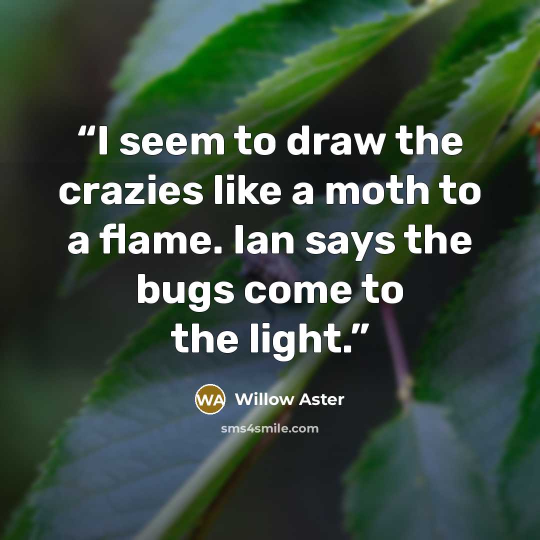 “I seem to draw the crazies like a moth to a flame. Ian says the bugs come to the light.” quote by Willow Aster