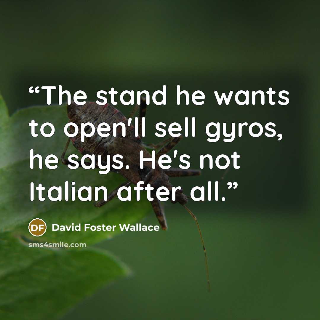 “The stand he wants to open'll sell gyros, he says. He's not Italian after all.” quote by David Foster Wallace