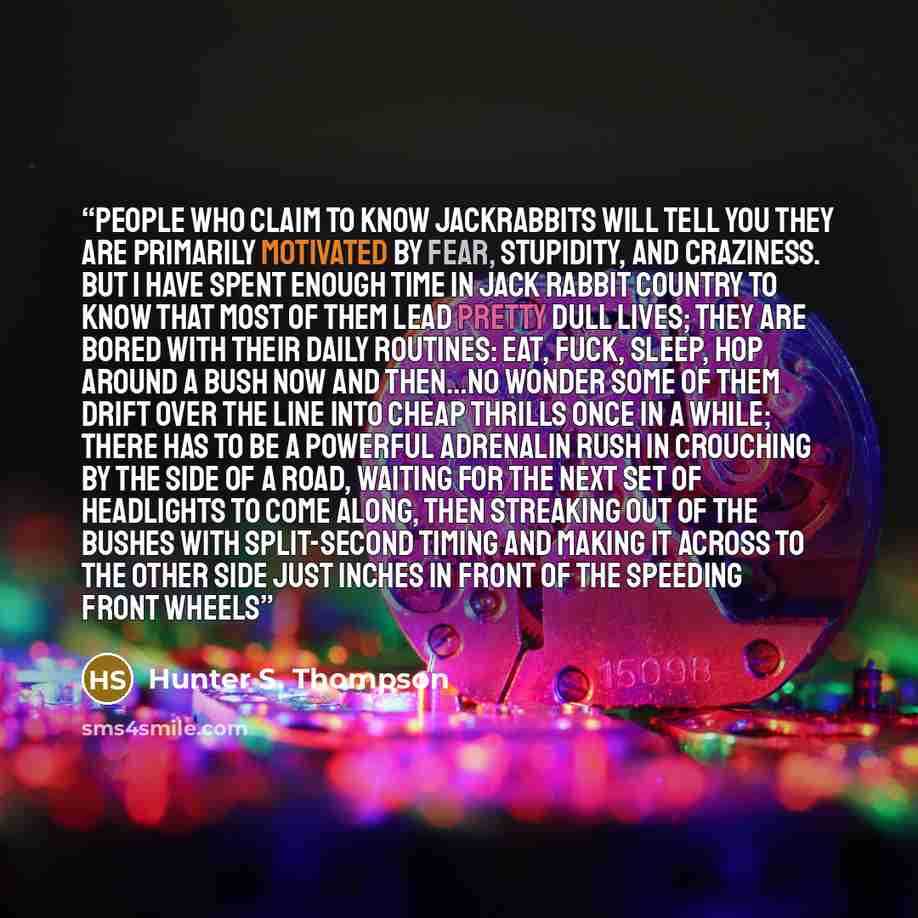 “People who claim to know jackrabbits will tell you they are primarily motivated by Fear, Stupidity, and Craziness. But I have spent enough time in jack rabbit country to know that most of them lead pretty dull lives; they are bored with their daily routines: eat, fuck, sleep, hop around a bush now…” quote by Hunter S. Thompson