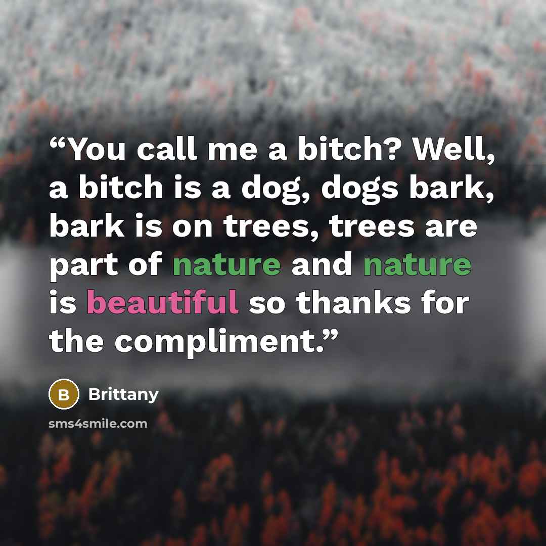 “You call me a bitch? Well, a bitch is a dog, dogs bark, bark is on trees, trees are part of nature and nature is beautiful so thanks for the compliment.” quote by Brittany