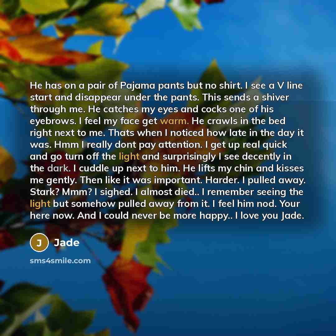 “He has on a pair of Pajama pants but no shirt. I see a V line start and disappear under the pants. This sends a shiver through me. He catches my eyes and cocks one of his eyebrows. I feel my face get warm. He crawls in the bed right next to me. Thats when I noticed how late in the day it was. Hmm…” quote by Jade