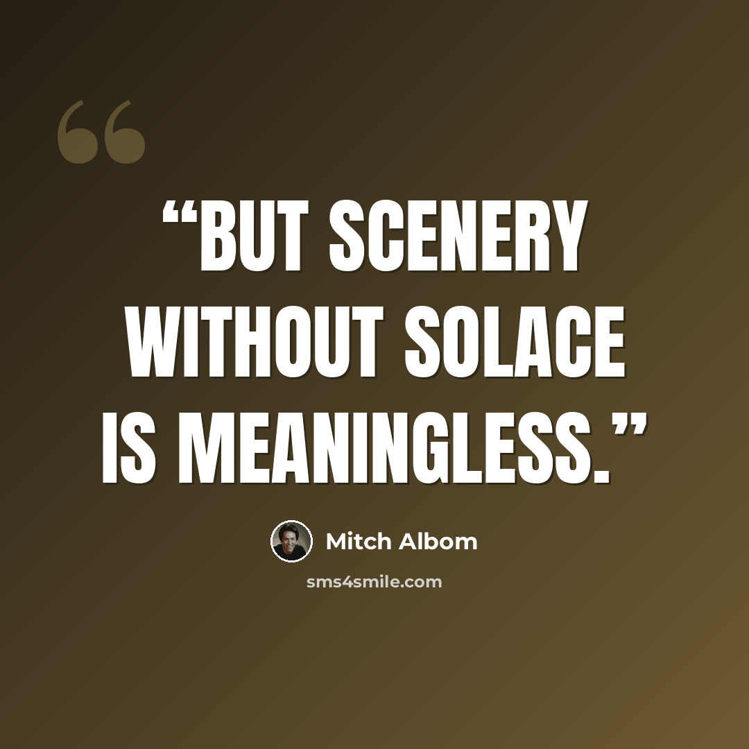 “But scenery without solace is meaningless.” quote by Mitch Albom