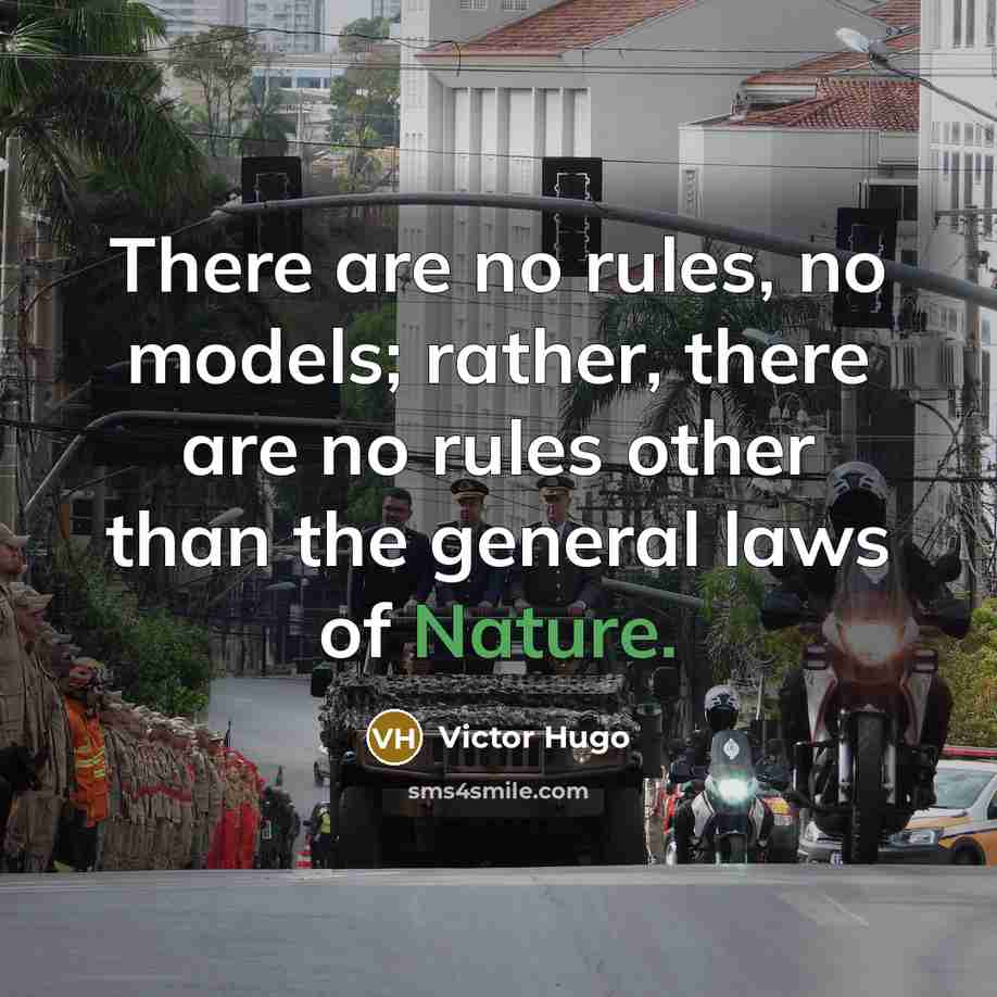 “There are no rules, no models; rather, there are no rules other than the general laws of Nature.” quote by Victor Hugo