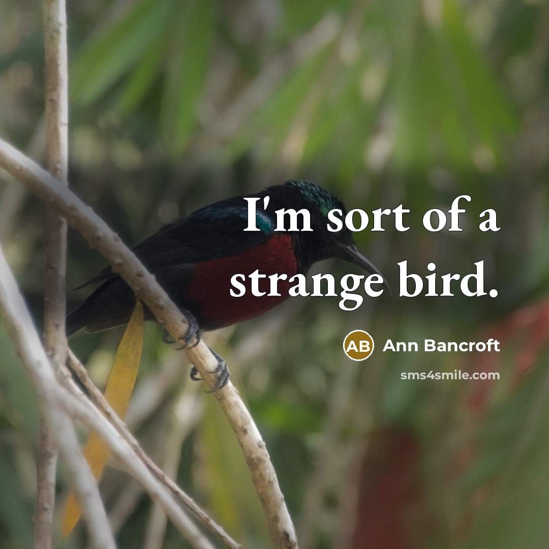 “I'm sort of a strange bird.” quote by Ann Bancroft