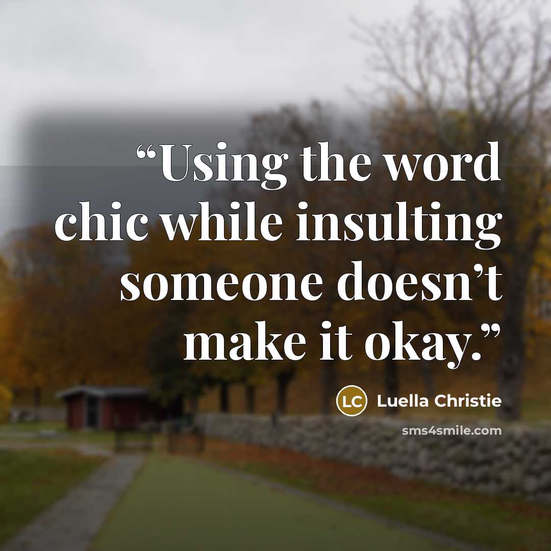 “Using the word chic while insulting someone doesn’t make it okay.” quote by Luella Christie