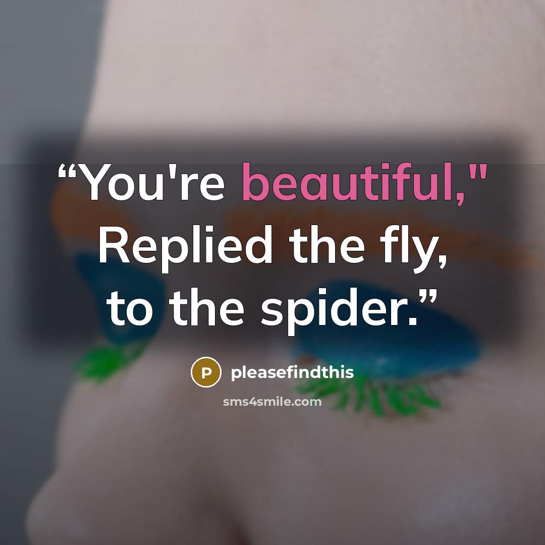 “You're beautiful," Replied the fly, to the spider.” quote by pleasefindthis