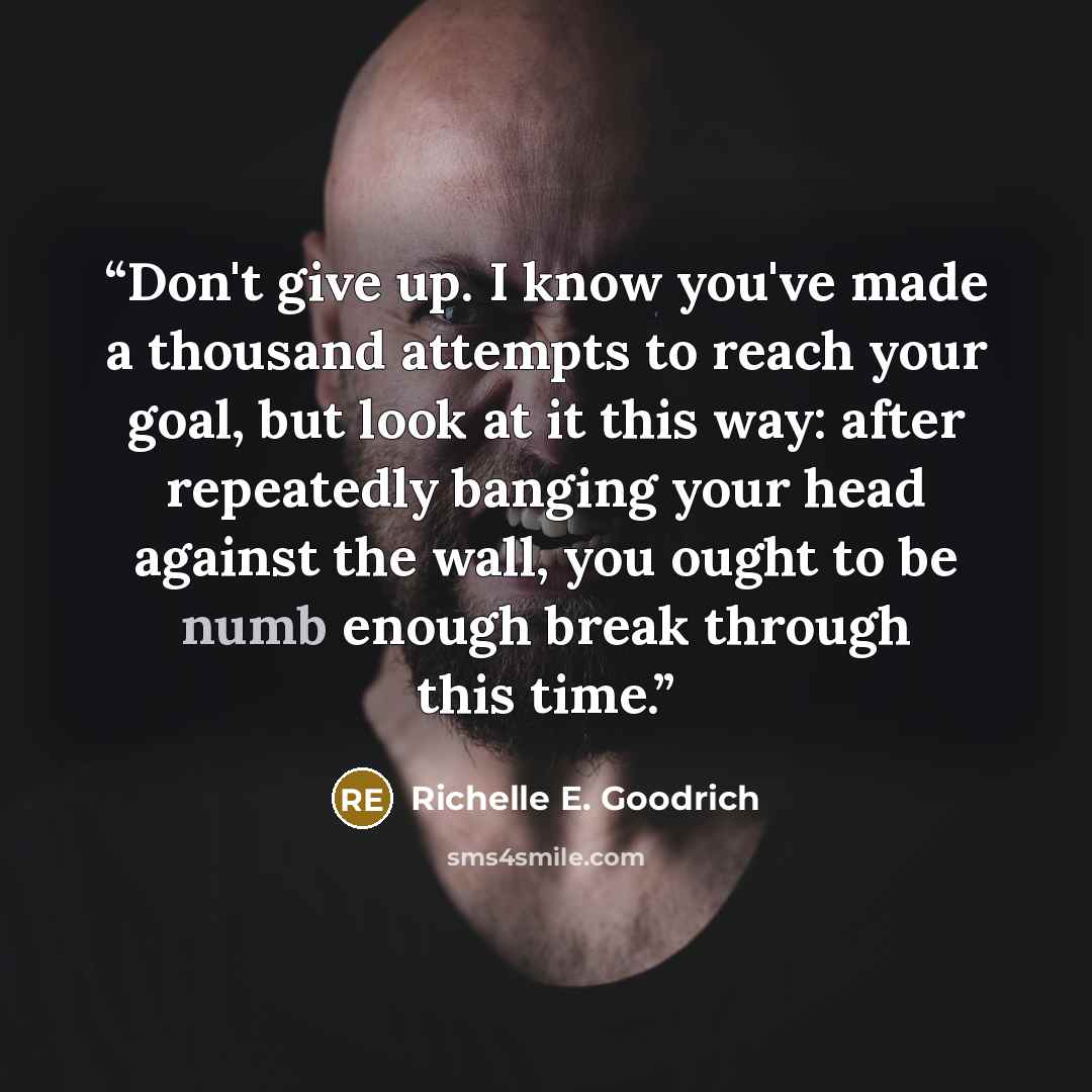 “Don't give up. I know you've made a thousand attempts to reach your goal, but look at it this way: after repeatedly banging your head against the wall, you ought to be numb enough break through this time.” quote by Richelle E. Goodrich