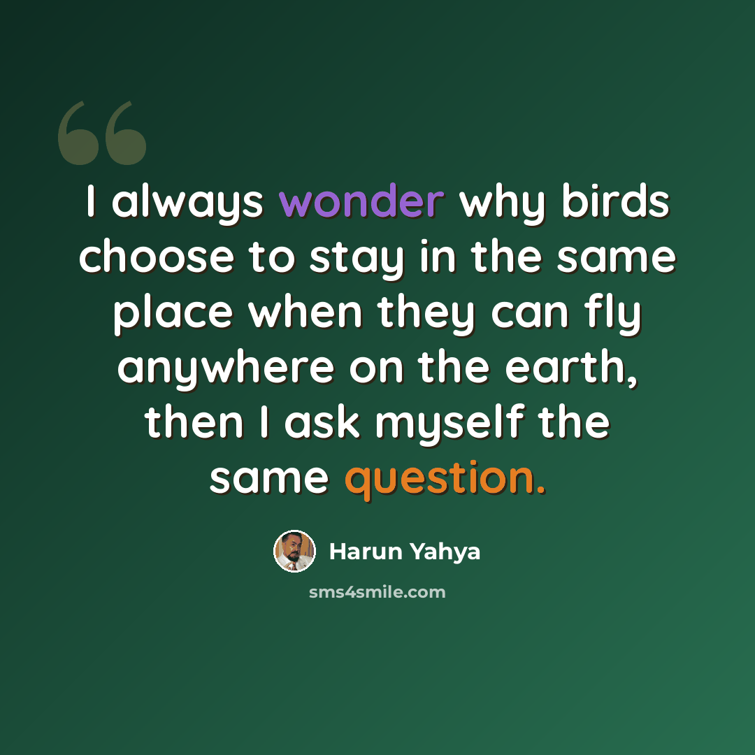 “I always wonder why birds choose to stay in the same place when they can fly anywhere on the earth, then I ask myself the same question.” quote by Harun Yahya