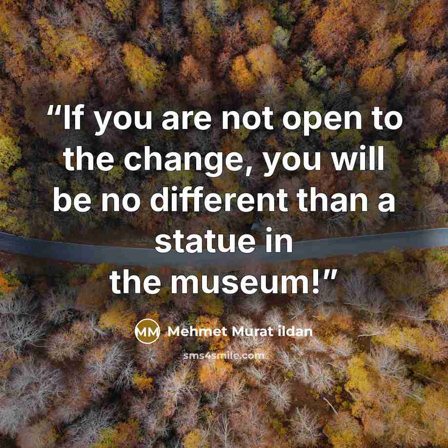 “If you are not open to the change, you will be no different than a statue in the museum!” quote by Mehmet Murat ildan
