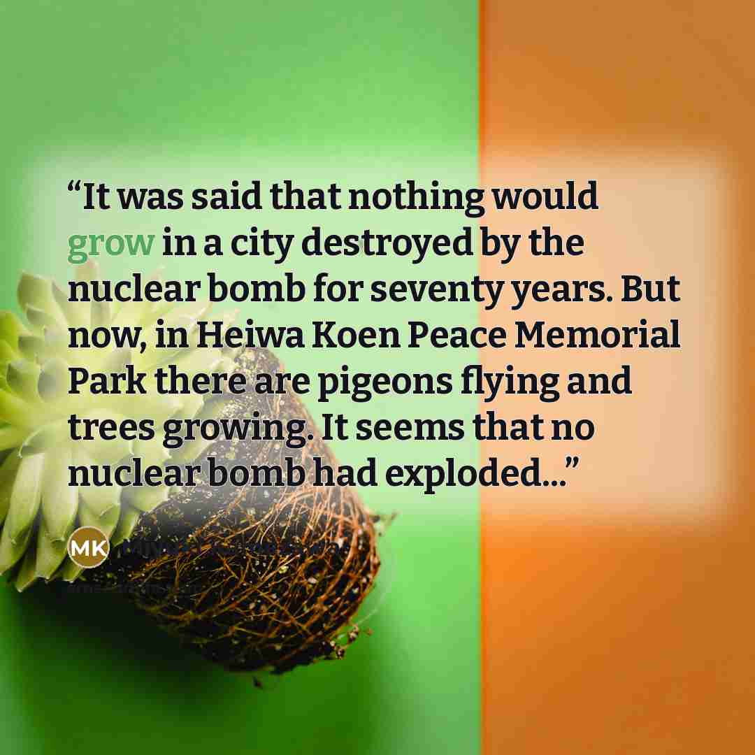 “It was said that nothing would grow in a city destroyed by the nuclear bomb for seventy years. But now, in Heiwa Koen Peace Memorial Park there are pigeons flying and trees growing. It seems that no nuclear bomb had exploded...” quote by Miyuki Kamezawa