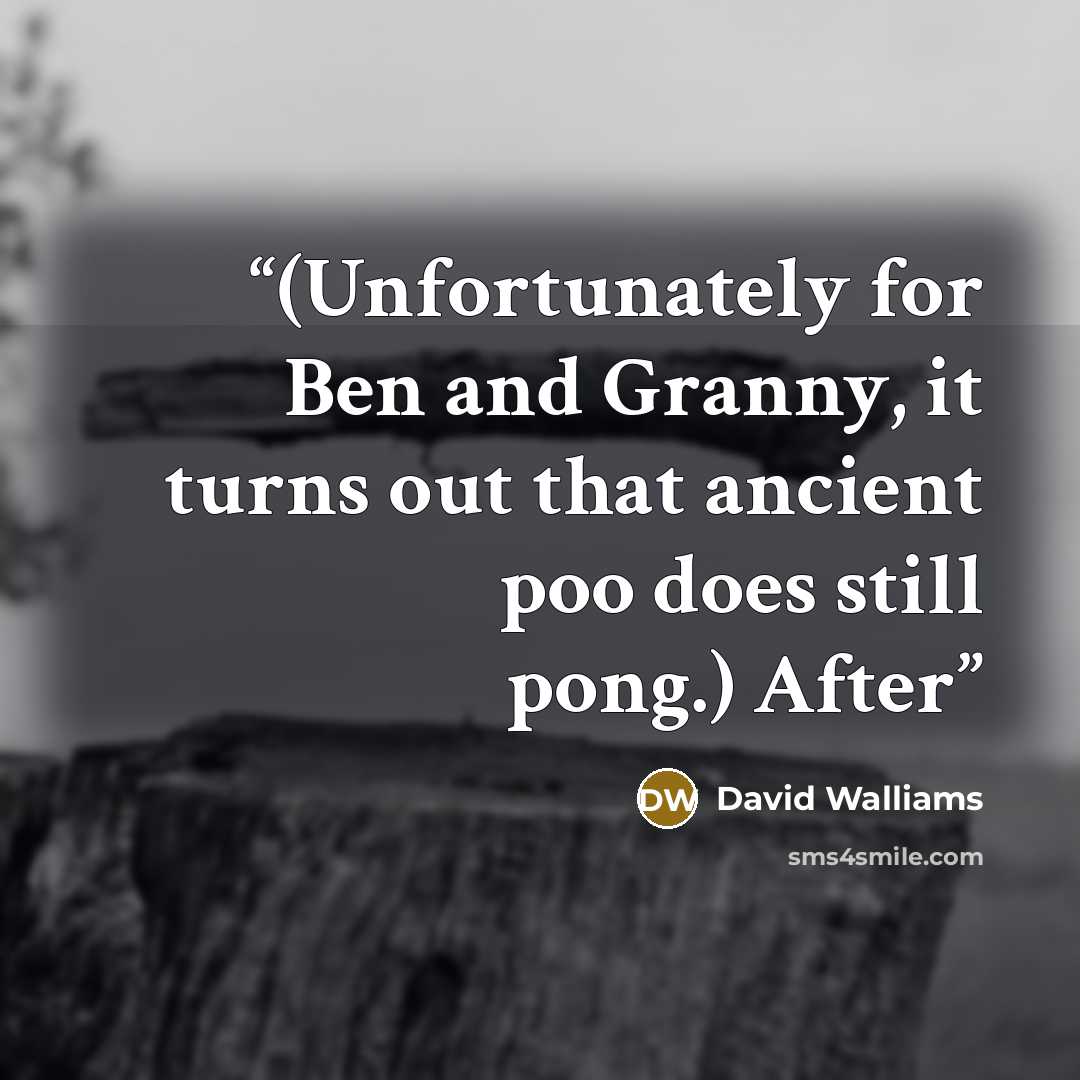 “(Unfortunately for Ben and Granny, it turns out that ancient poo does still pong.) After” quote by David Walliams