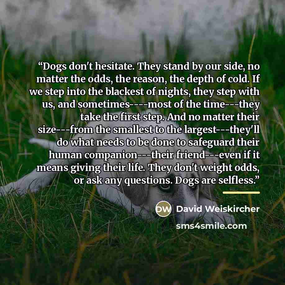 “Dogs don't hesitate. They stand by our side, no matter the odds, the reason, the depth of cold. If we step into the blackest of nights, they step with us, and sometimes----most of the time---they take the first step. And no matter their size---from the smallest to the largest---they'll do what…” quote by David Weiskircher